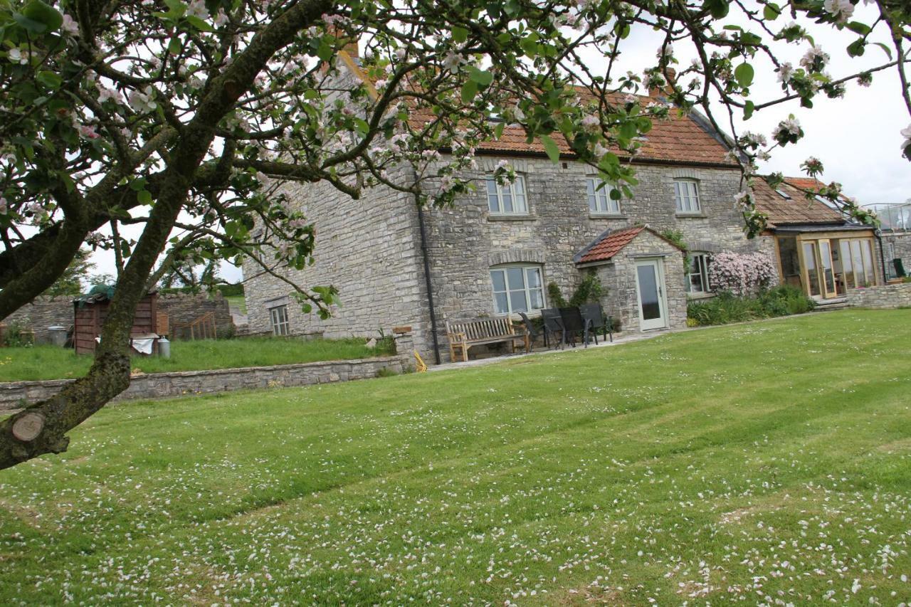 WedmoreCastle Farm住宿加早餐旅馆 外观 照片